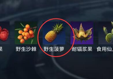 星球重启野生菠萝在哪获取