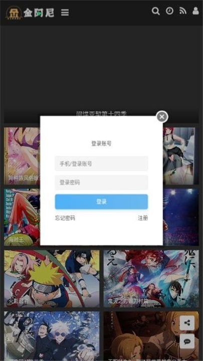 金阿尼动画2