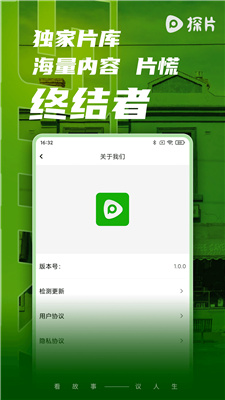 探片1