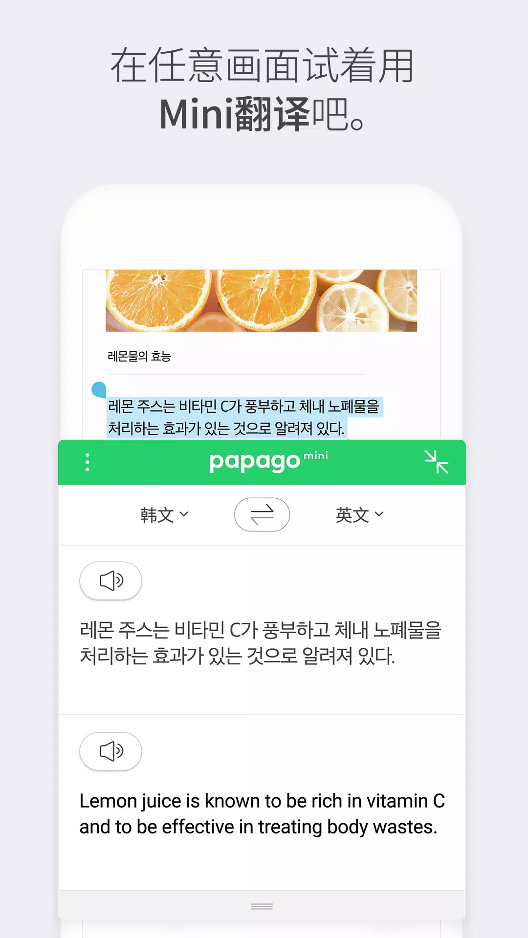 Naver Papago7