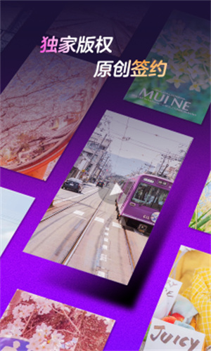 来电视频app1