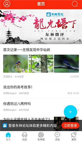 东林论坛