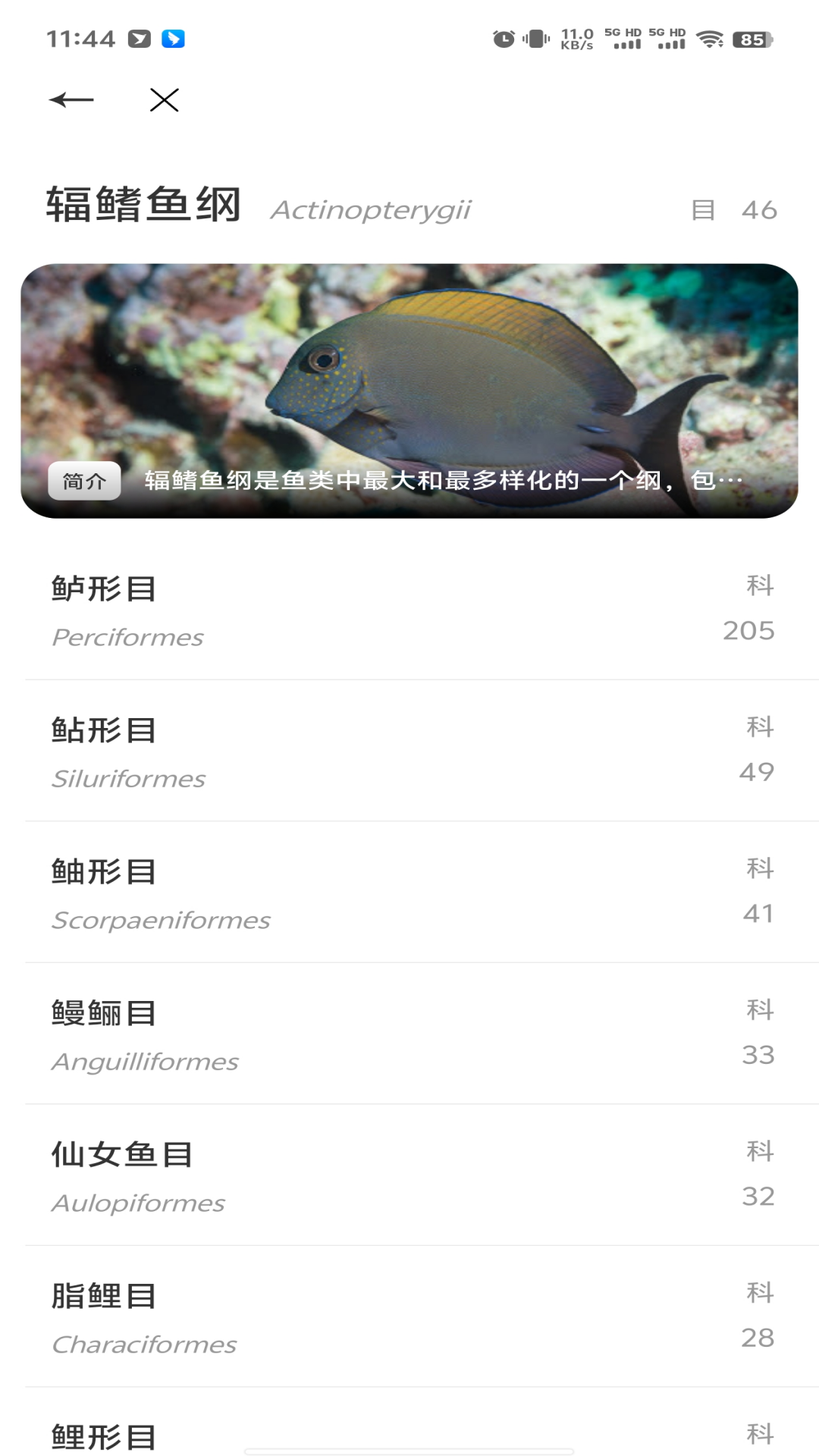 鱼塘笔记0