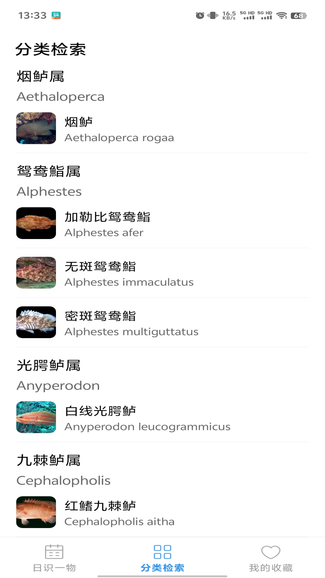 鱼塘笔记2