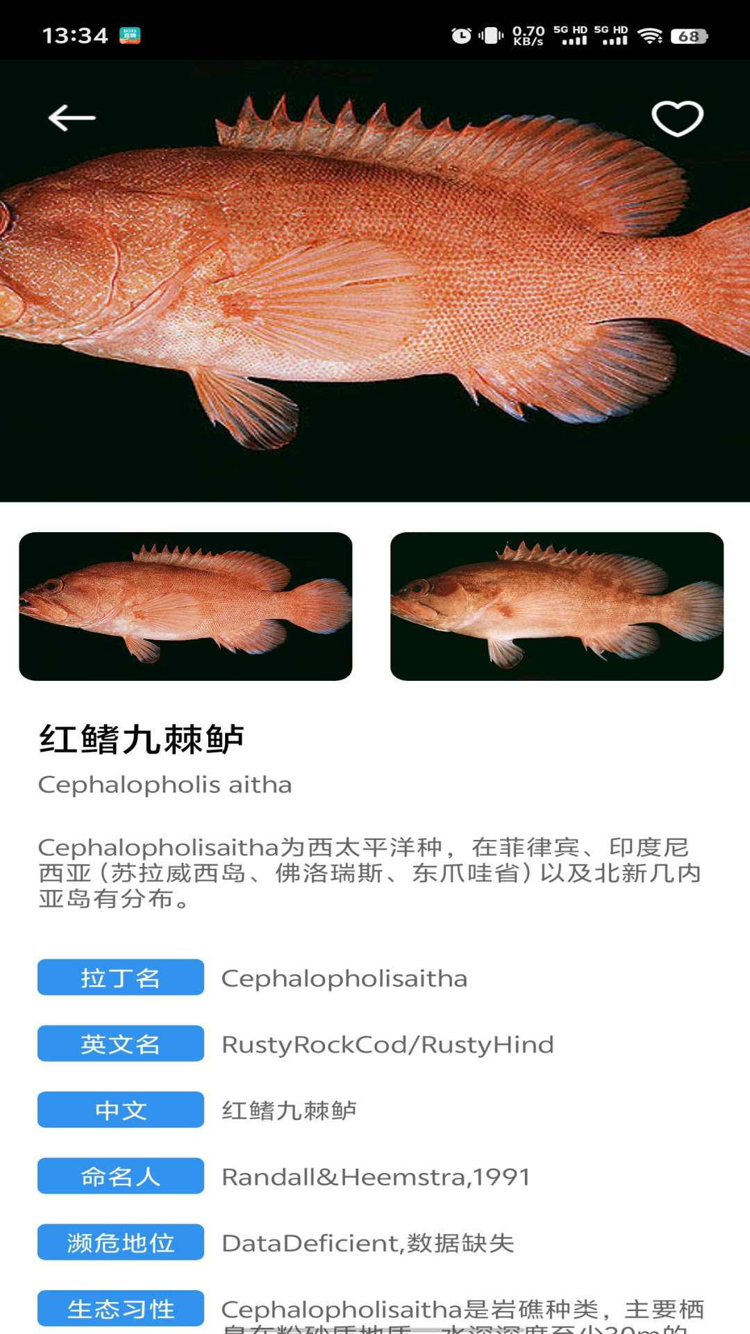 鱼塘笔记3