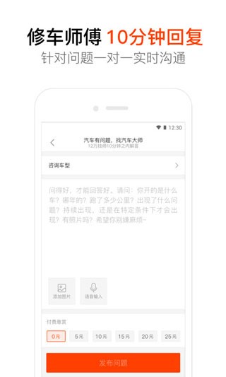 汽车大师技师版0