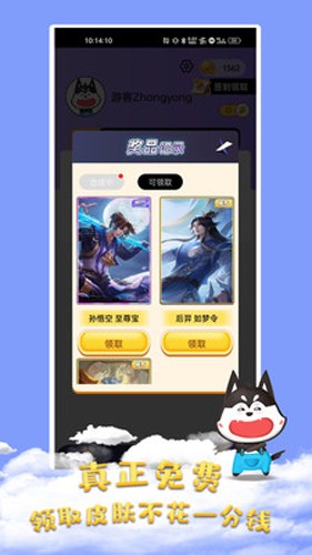 皮肤大佬2