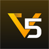 v5item
