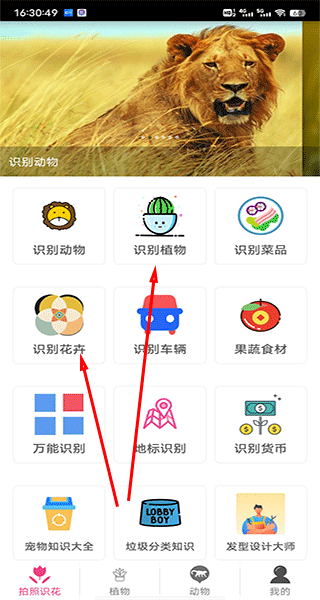 拍照识花神器手机截图