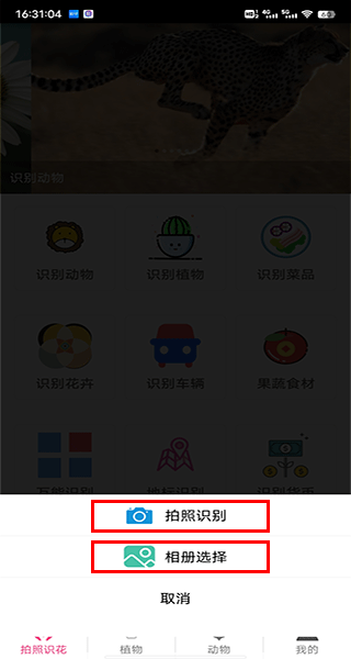 拍照识花神器手机截图