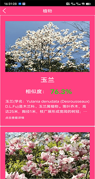 拍照识花神器手机截图