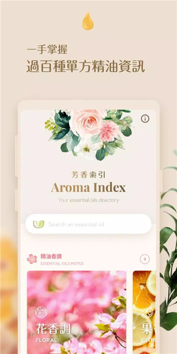 芳香索引0