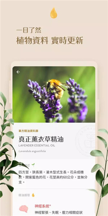 芳香索引1