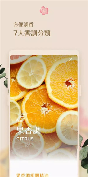 芳香索引