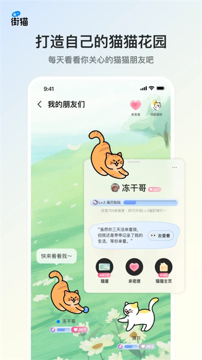 哈啰街猫app手机版1