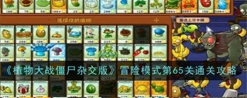 植物大战僵尸杂交版65关怎么过