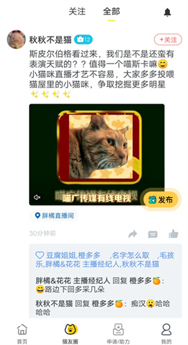 哈啰街猫软件