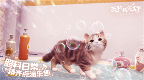 我和我的猫0