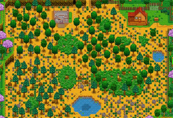 Stardew valley游戏