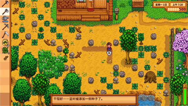 Stardew valley游戏