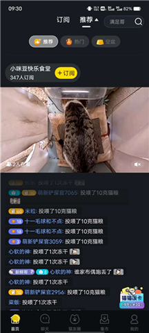 哈啰街猫软件手机版