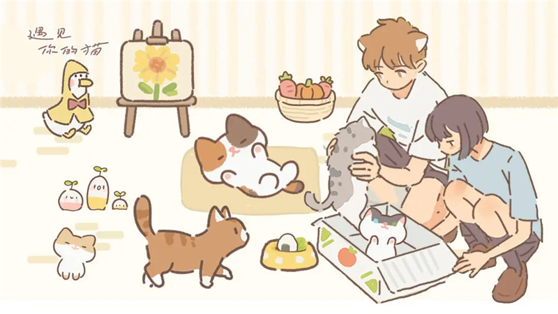 遇见你的猫烹饪菜谱大全一览表