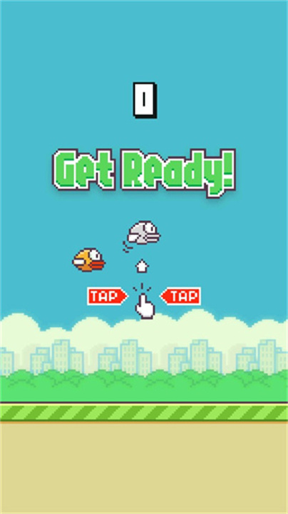 FlappyBird1