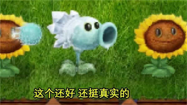 植物大战僵尸现实画风版2