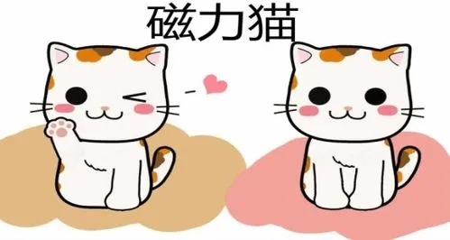 磁力猫最新版地址链接磁力搜分享-磁力猫在线搜索怎么进入