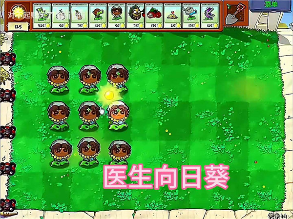 植物大战僵尸第5人格版1