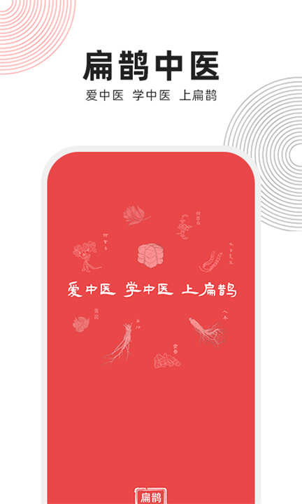 扁鹊中医1