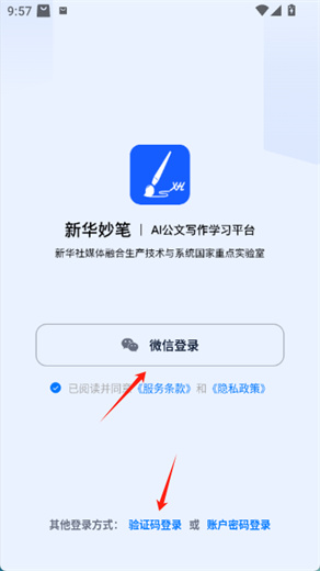 新华妙笔