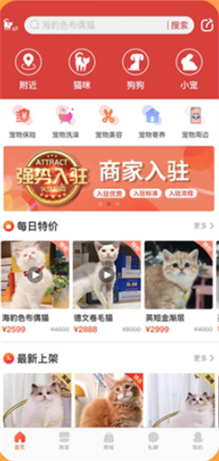 宠物市场