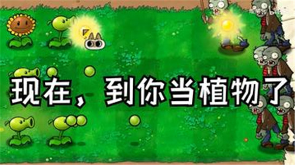 植物大战僵尸繁琐版0