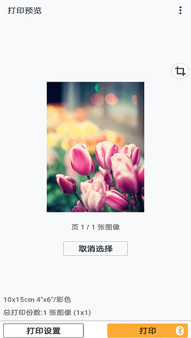 佳能打印软件