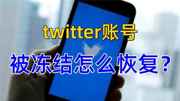推特手机版