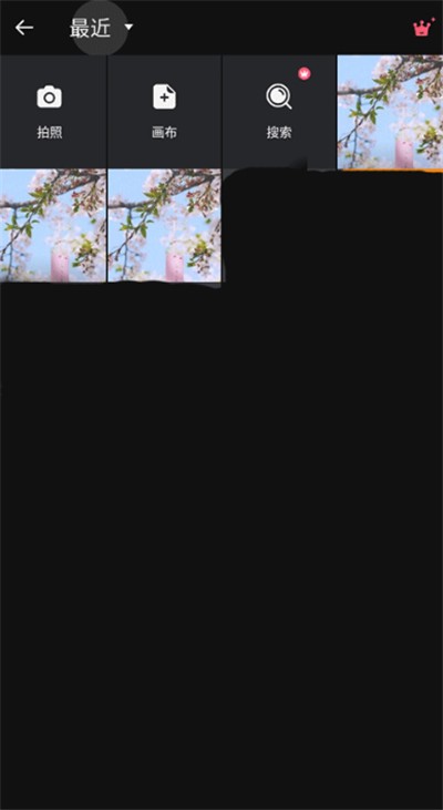 专业照片编辑器中文版截图