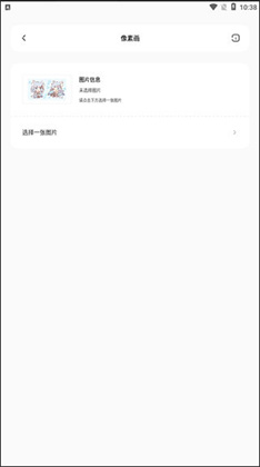 迷你兔