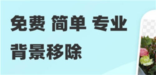 椰子背景