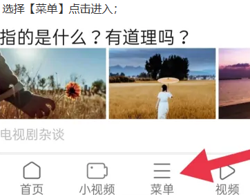 天马浏览器手机版
