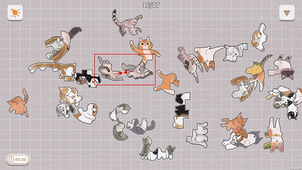 挤在一起的猫猫手机版