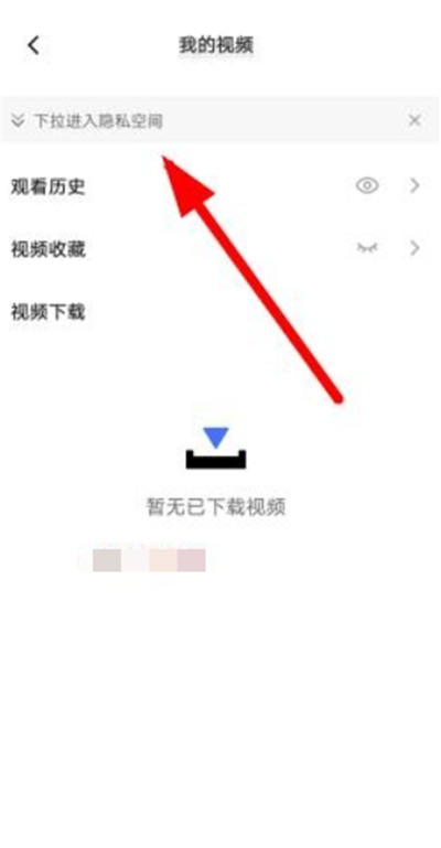 vivo浏览器2025截图