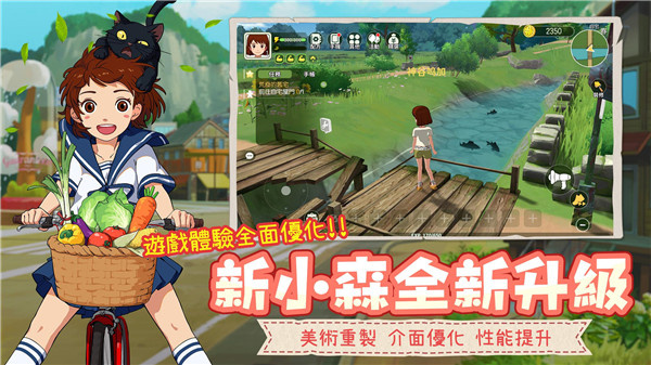 预览图4