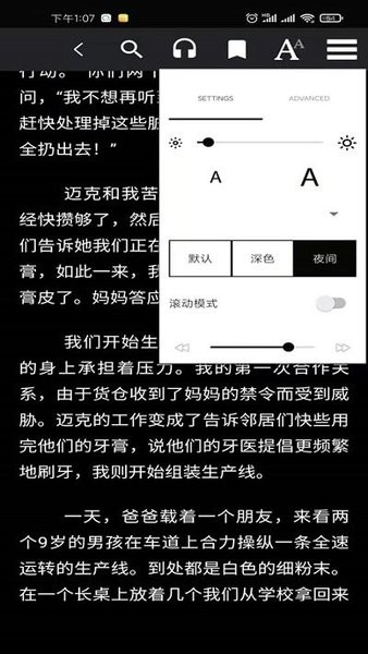 爱书猫1