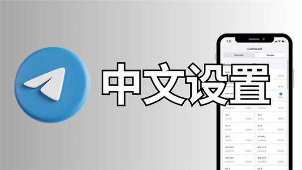 纸飞机中文手机版