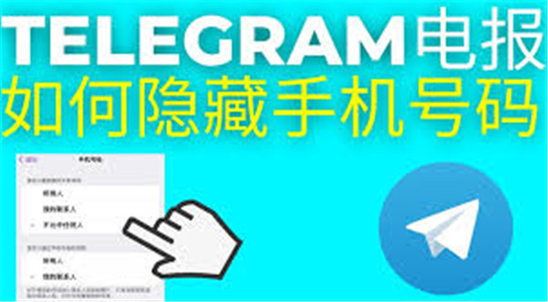 纸飞机中文手机版