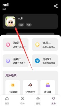 懒洋羊软件库截图
