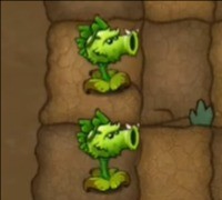 植物大战僵尸融合expand版截图