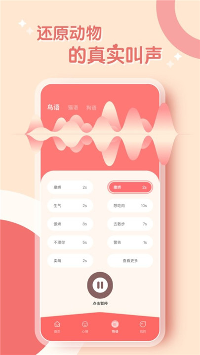 鸟语翻译器中文版0