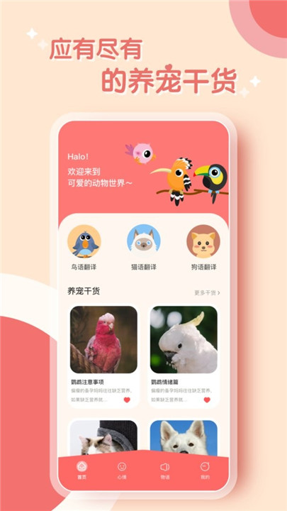 鸟语翻译器中文版2